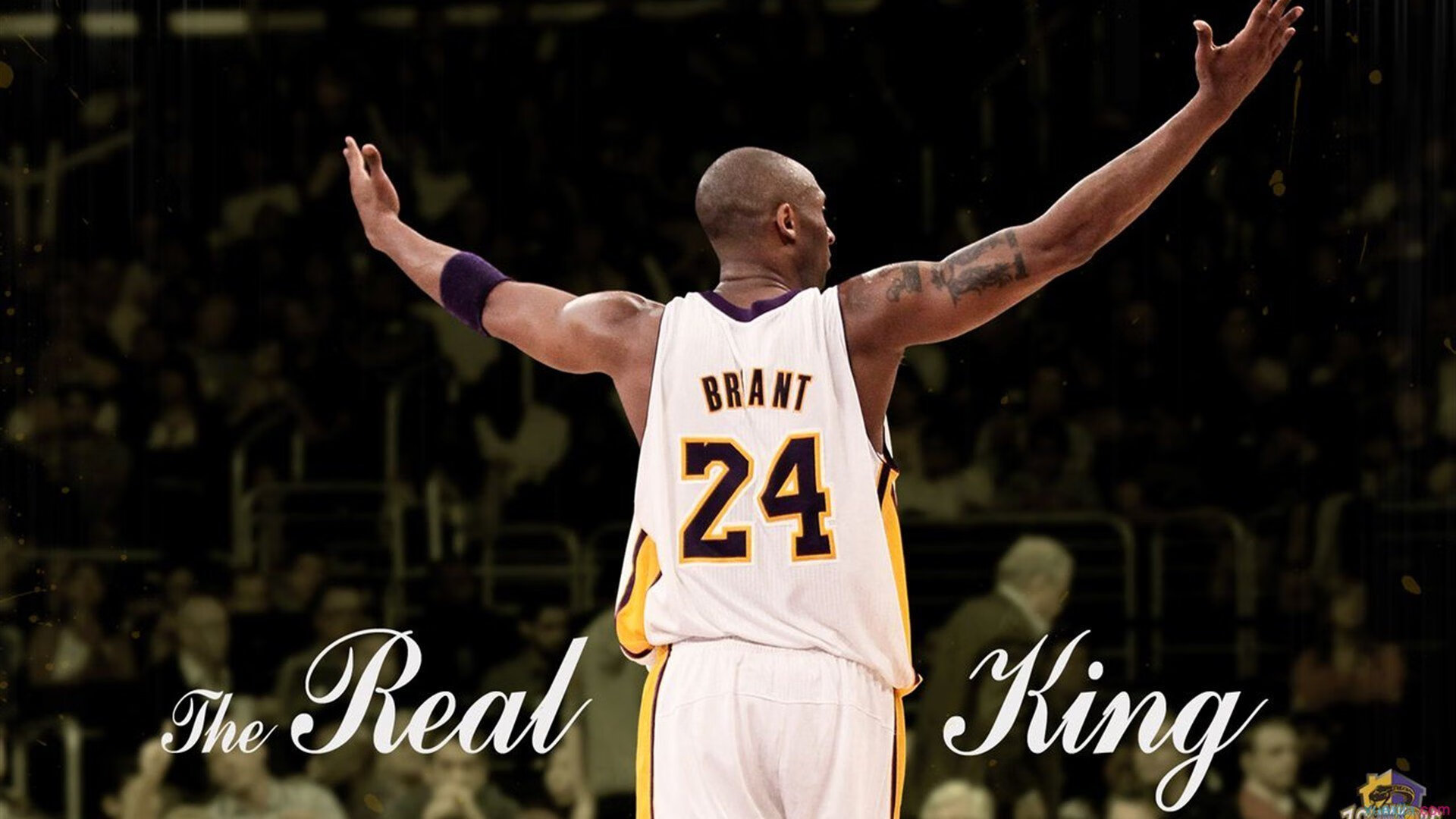 “马科斯·梅特罗的全能技术,让阿根廷美洲狮队稳居世界橄榄球强国”