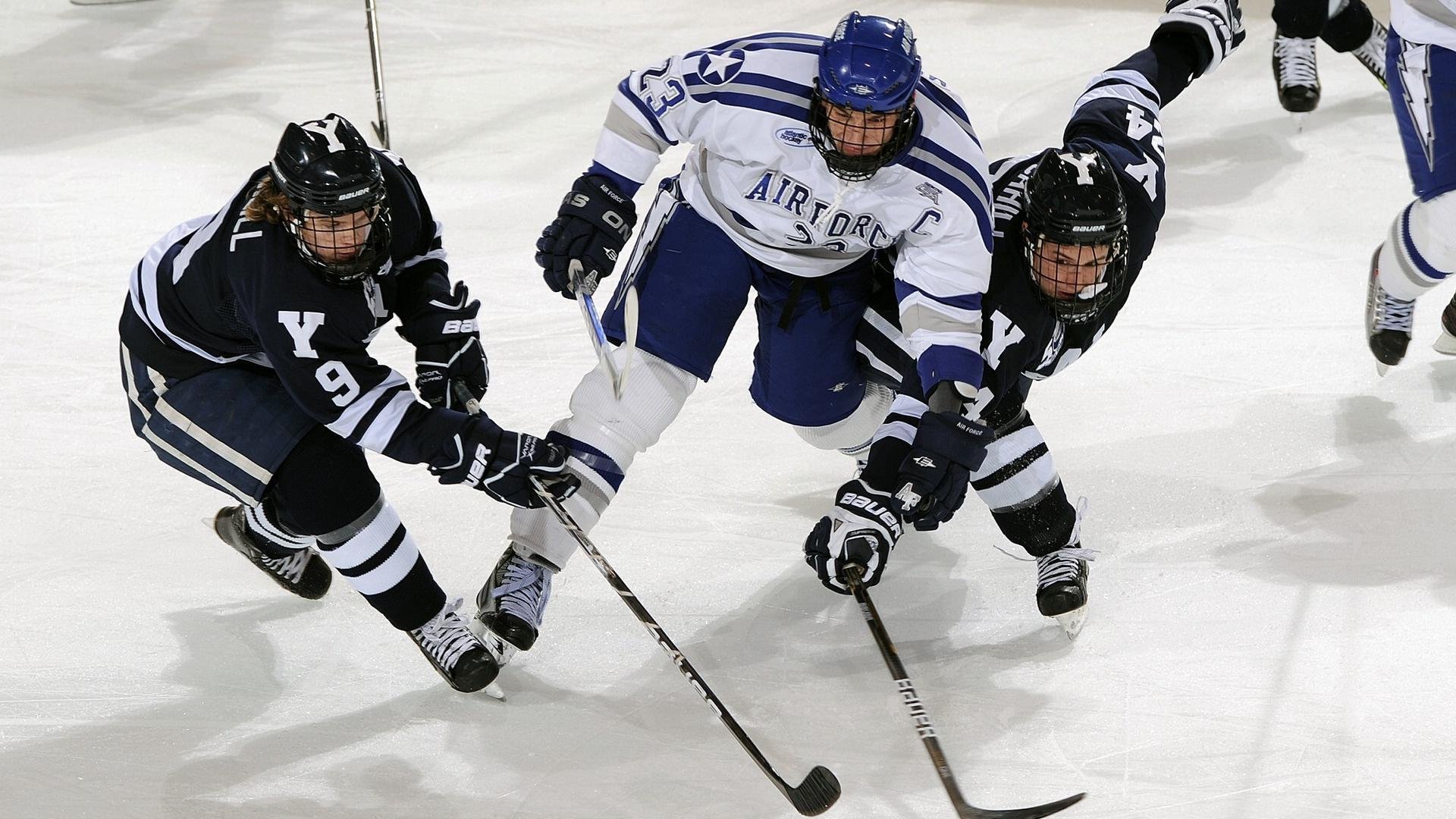 球员家属支持体系建立，心理与生活关怀同步推进，球迷家属