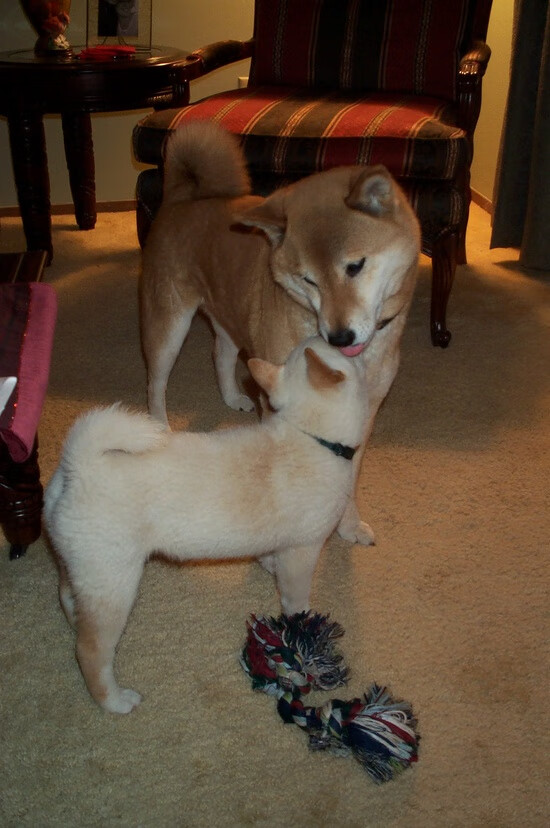 【比赛策略】如何布置攻守转换？顶尖运动员的战术揭秘，足球攻守转换的战术要求