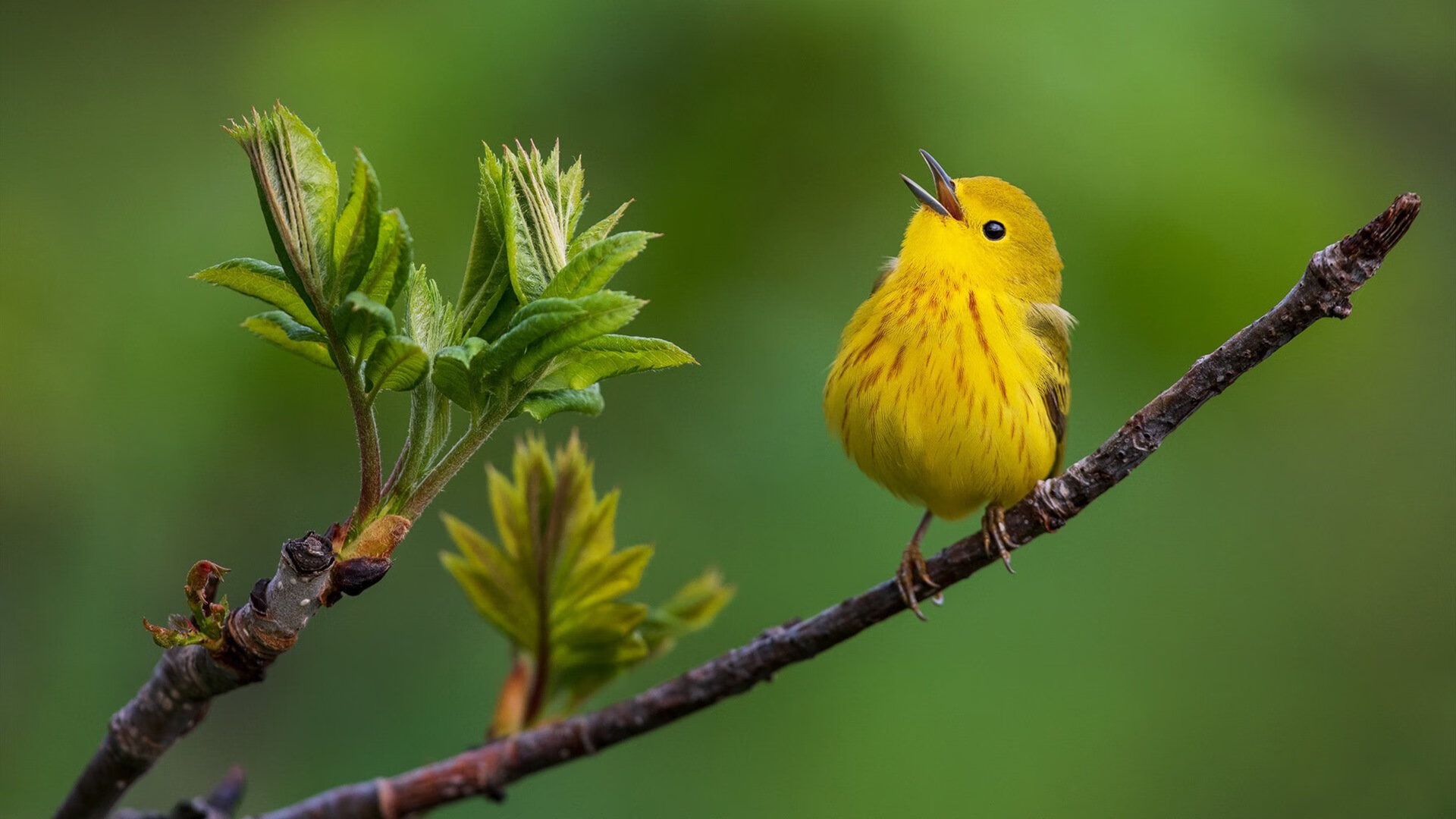 开云电竞平台-【青训秘籍】培养青少年运动员的核心训练环节，青年运动员怎样进行营养补充