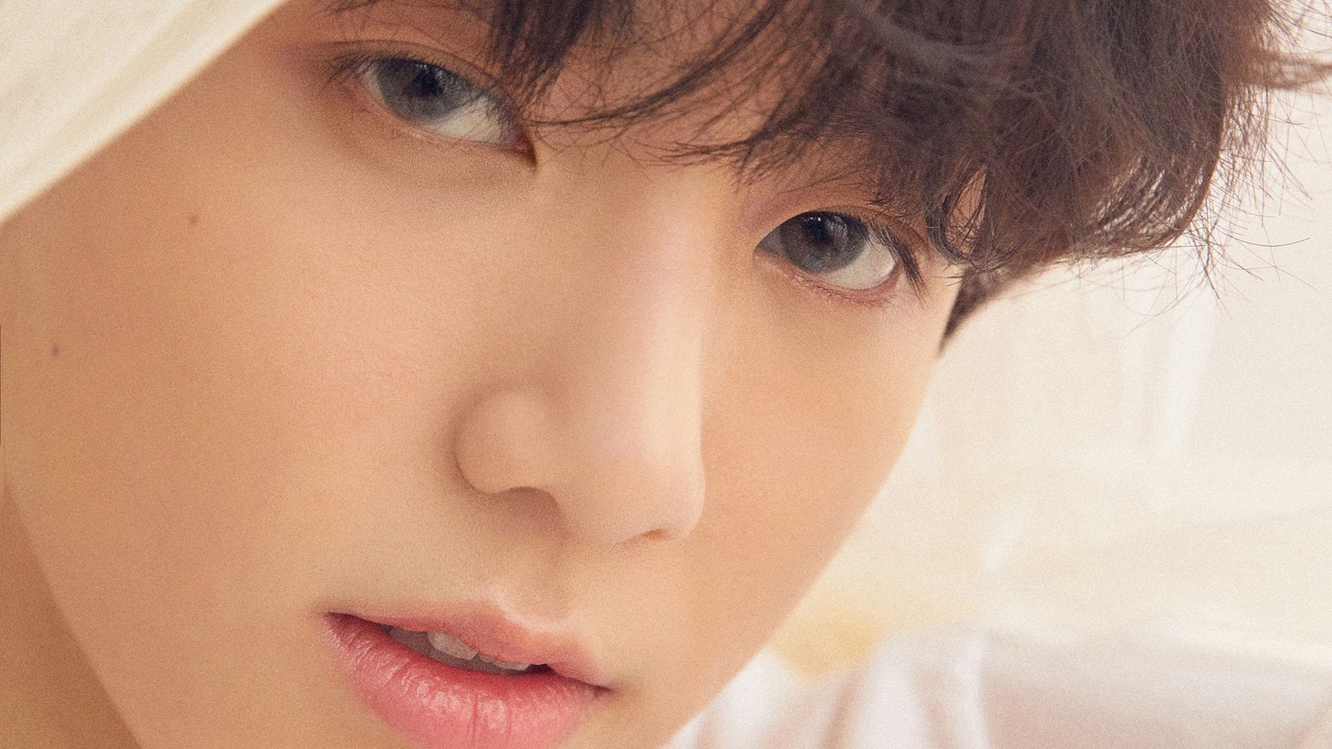 开云官方-德甲：裁判争议引发热议，德甲场地